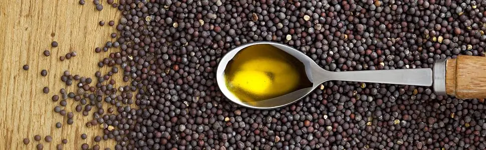 Jiva Organic Black Mustard Seeds Whole 2.75 Pound Bulk Bag - Non-GMO Keto Friendly, Non-Irradiated - product information 4