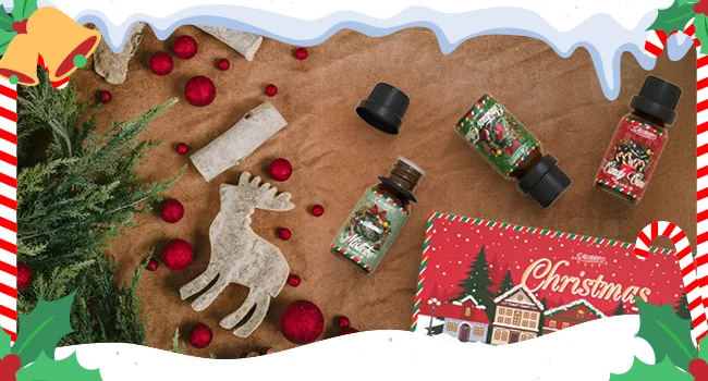 SALUBRITO Christmas Essential Oils Set Winter Holiday Fragrance Oil Gift Set for Diffuser Candle Soap Making Candy Cane Christmas Tree Christmas Pudding Apple Cinnamon Gingerbread Mistletoe - product information 5