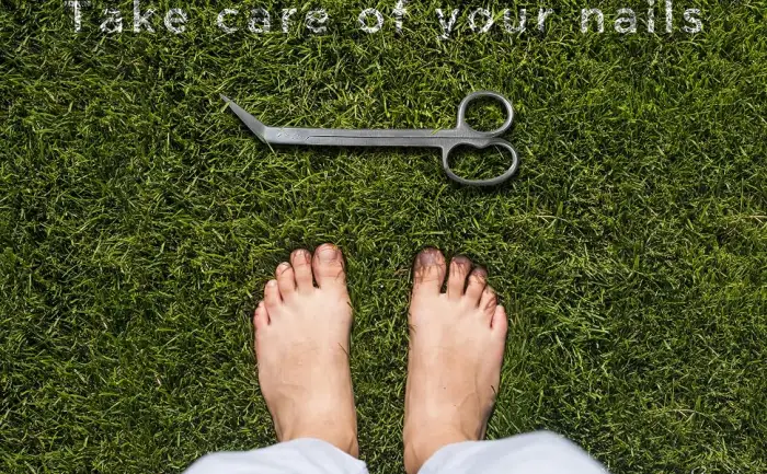 SANDBROS Extra Long Toe Nail Scissors Clippers Cutters Back Pain Chiropody Podiatry 7.5'' with one Micro Serrated Blade for Super Tough Cut K7 - Toenail Cutting Long Handle Shank Scissors, Angled Tip, Nail Scissors, Nail Clippers