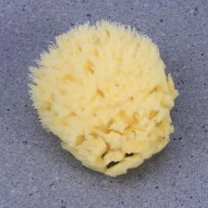 Beatifufu Shower Sponge Bath Sponge Seaweed Sponge Honeycomb Algae Sponge - product information 2