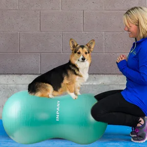 INPANY Peanut Ball - Anti Burst Exercise Ball for Labor Birthing, Physical Therapy for Kids, Core Strength, Home & Gym Fintness (Include Pump) Green 39x20" - product information 5