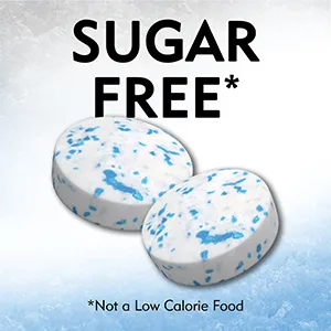 ICE BREAKERS ICE CUBES ARCTIC GRAPE Sugar Free Chewing Gum, Made with Xylitol, 8.11 oz Pouch (100 Pieces) 100 Count (Pack of 1) Arctic Grape - mints