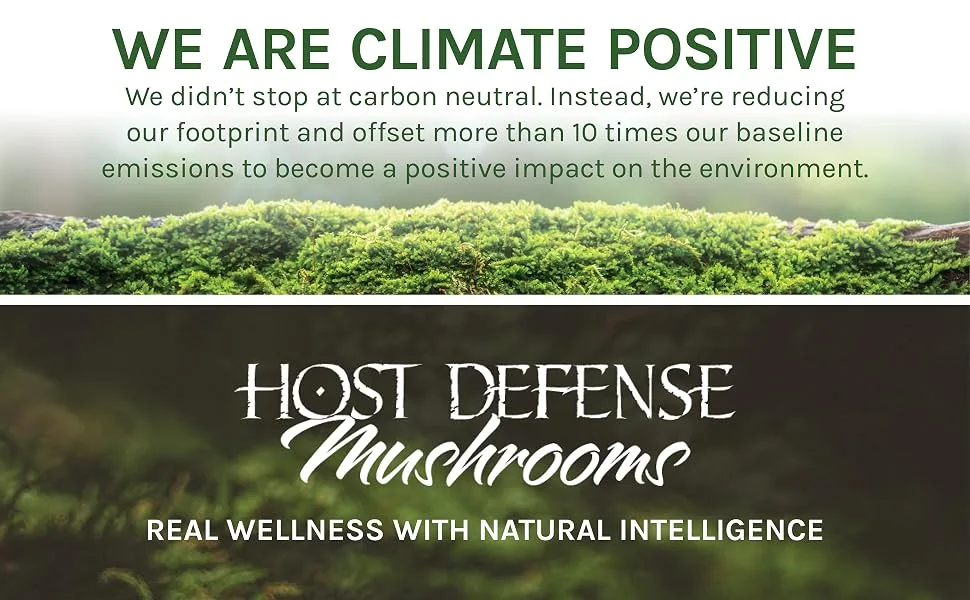 Host Defense, Lion's Mane Extract, Promotes Mental Clarity, Focus and Memory, Mushroom Supplement, Plain, 2 fl oz 2 Fl Oz (Pack of 1) - We are Climate Positive. Host Defense Mushrooms; Real Wellness with Natural Intelligence