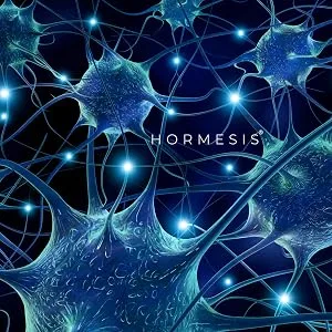 Hormesis 600 mg Alpha GPC with Uridine for Enhanced Choline Absorption and Bioavailability (80 Capsules) Supports Brain Health, Focus, Memory, Motivation, Energy - Neurons