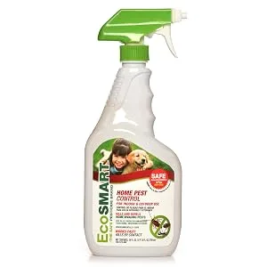 Home Pest Control - home pest