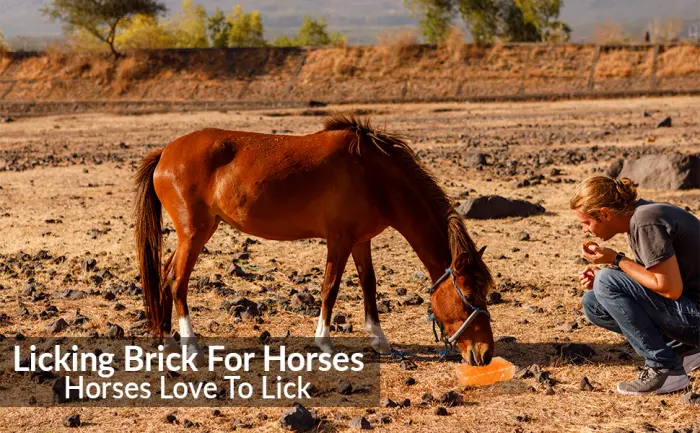 Himalayan Nature Licking Salt for Horse - 2 Pack, Pink Pack of 2 - Brick Salt