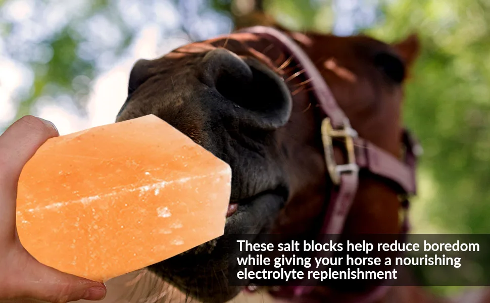 Himalayan Nature Licking Salt for Horse - 2 Pack, Pink Pack of 2 - Licking Salt