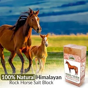 Himalayan Nature Licking Salt for Horse - 2 Pack, Pink Pack of 2 - rock salt
