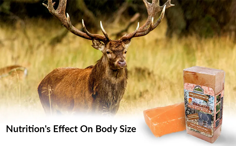 Himalayan Nature Licking Salt for Deer Pack of 2 - Deer salt block
