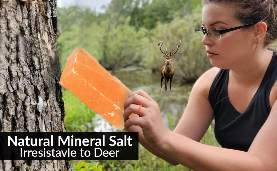 Himalayan Nature Licking Salt for Deer Pack of 2 - rock salt