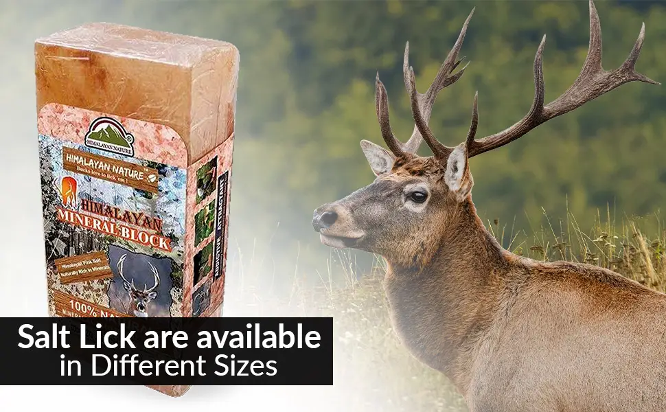 Himalayan Nature Licking Salt for Deer Pack of 2 - Salt lick