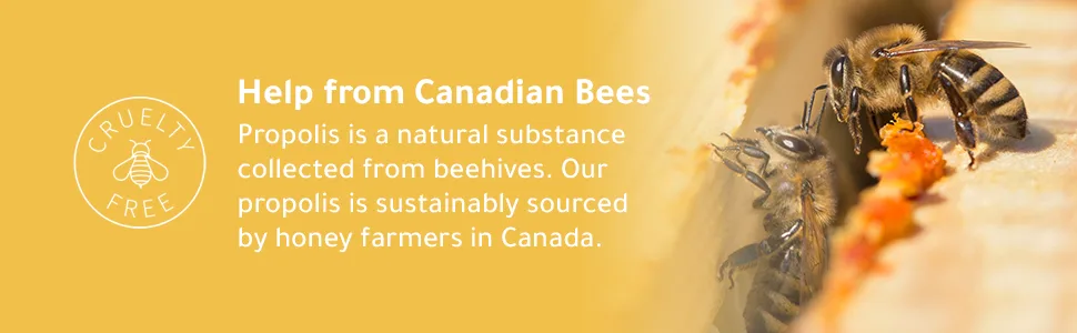 Herstat | Cold Sore Relief | .07oz - Cruelty Free | Made with propolis sustainably sourced by honey bee farmers in Canada