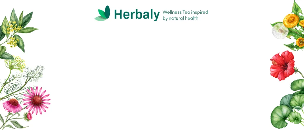 Herbaly Wellness Collection Organic Herbal Ginger Tea, 70 g, 28 Count Bag (Pack of 1) 28 Count (Pack of 1) - Herb background