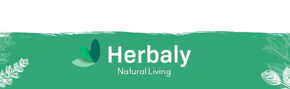 Herbaly Wellness Collection Organic Herbal Ginger Tea, 70 g, 28 Count Bag (Pack of 1) 28 Count (Pack of 1) - Herbaly-Natural Living