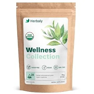 Herbaly Wellness Collection Organic Herbal Ginger Tea, 70 g, 28 Count Bag (Pack of 1) 28 Count (Pack of 1) - Herbaly Wellness Collection