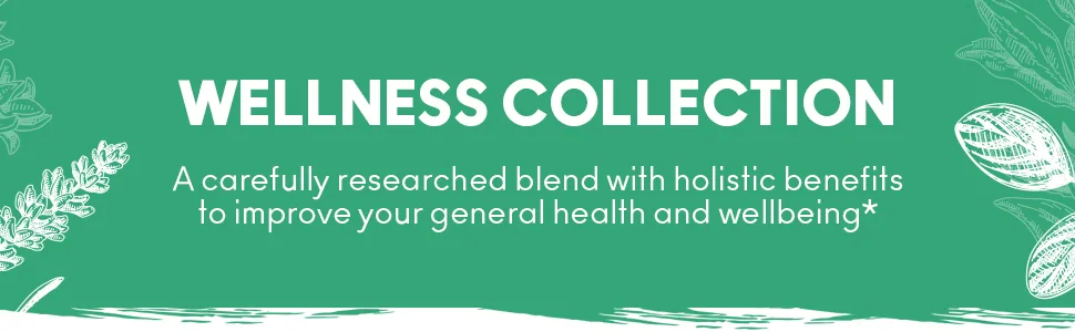 Herbaly Wellness Collection Organic Herbal Ginger Tea, 70 g, 28 Count Bag (Pack of 1) 28 Count (Pack of 1) - Wellness Collection: holistic benefits to improve your general heath and well being*