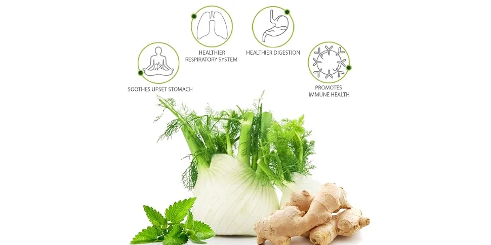 Herbal Secrets Peppermint Ginger & Fennel 120 Softgels (Non-GMO) - Supports Digestive Functions* - Promotes Vitality*- Helps to Sooth Upset Stomach* - product information 1