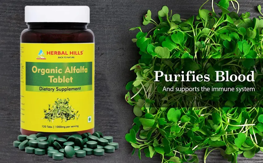 Herbal Hills Alfalfa Tablets | 120 Count | Source of Vitamin A | Natural Green Superfoods 120 Count (Pack of 1) - Alfalfa Tablets Organic Barley Wheat Grass Capsules Pills Supplements Super Green Food Natural