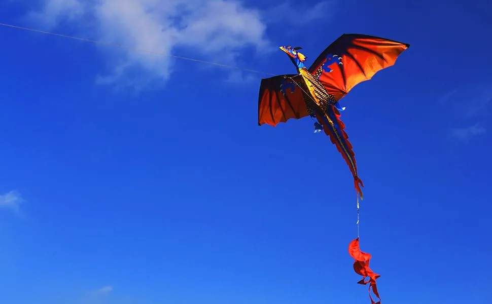 HENGDA KITE-Upgrade Classical Dragon Kite Stereoscopic Dragon Kites for Kids & Adults Easy to Fly for Beginner Easter 55inch x 62inch Single Line with Tail - dragon kite