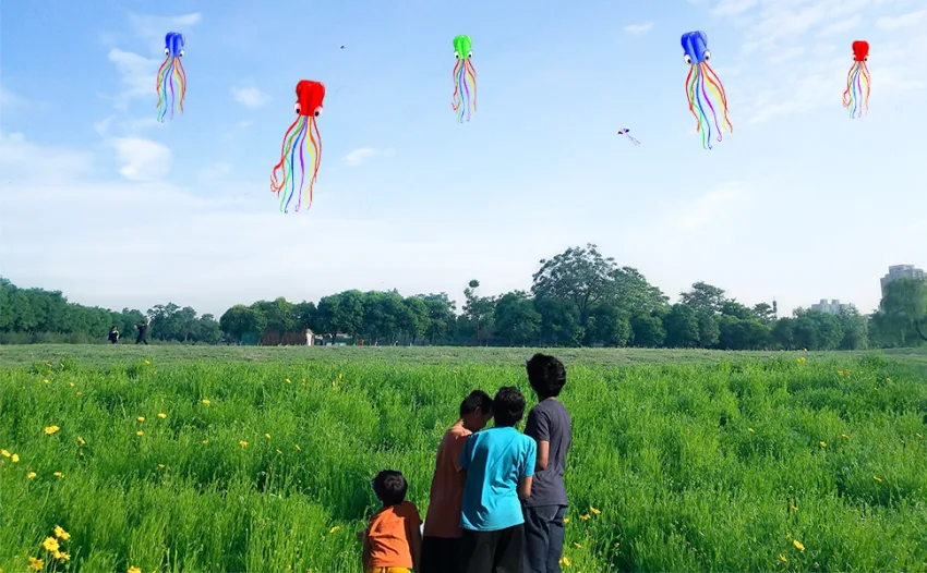 Hengda kite Pack 3 Colors Beautiful Large Easy Flyer Kite for Kids-Software Octopus-It's Big! 31 Inches Wide with Long Tail 157 Inches Long-Perfect for Beach or Park by 3 Colors(Red&Green&Blue) - hengda kite
