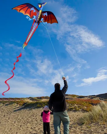 Hengda kite Pack 3 Colors Beautiful Large Easy Flyer Kite for Kids-Software Octopus-It's Big! 31 Inches Wide with Long Tail 157 Inches Long-Perfect for Beach or Park by 3 Colors(Red&Green&Blue) - kite