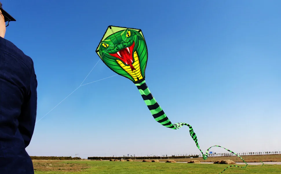 HENGDA KITE Large Power Snake Kites with Flying Line Outdoor Fun Sports Kite B 26 Ft - KITE