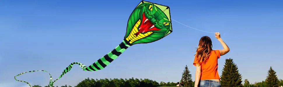 HENGDA KITE Large Power Snake Kites with Flying Line Outdoor Fun Sports Kite B 26 Ft - KITE