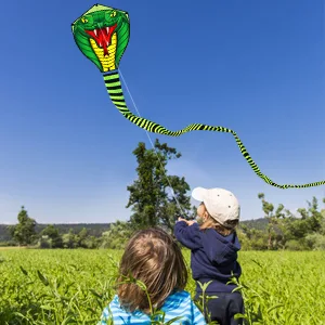 HENGDA KITE Large Power Snake Kites with Flying Line Outdoor Fun Sports Kite B 26 Ft - KITE