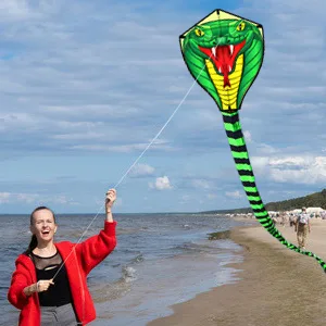 HENGDA KITE Large Power Snake Kites with Flying Line Outdoor Fun Sports Kite B 26 Ft - KITE