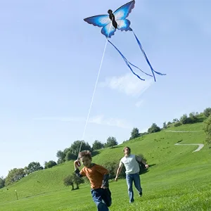 HENGDA KITE for Kids & Adults, So Beautiful Butterfly Kite for Outdoor Games and Activities Single Line Kite with Flying Tools - kite