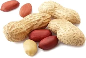 Handmade Peanut Brittle. Just Like Granny Used to Make. One Pound (16oz) Bag - product information 4