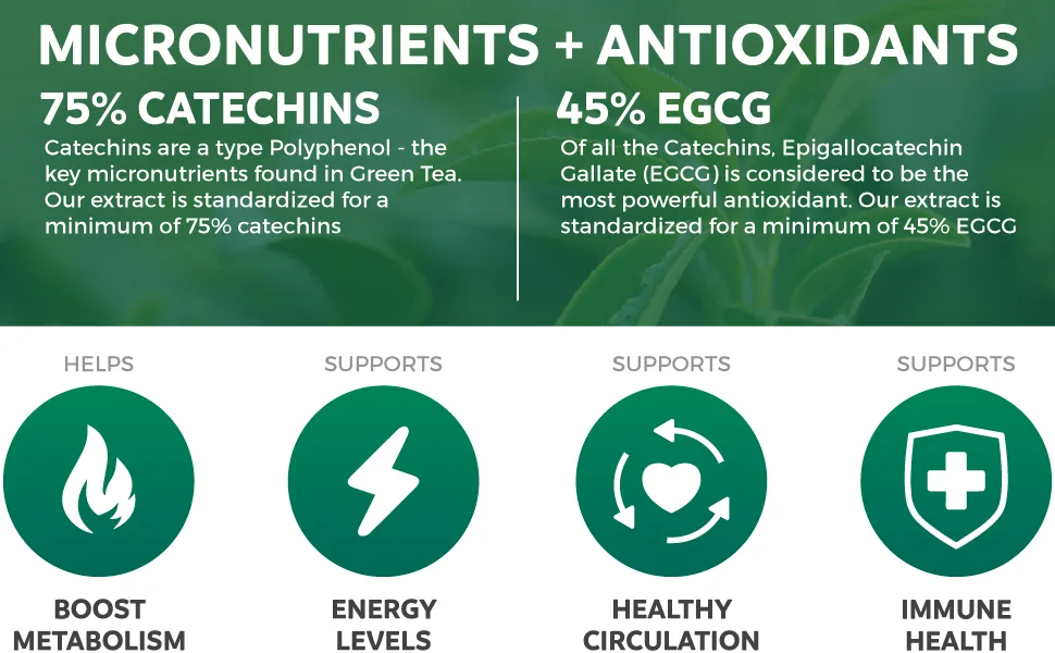 Green Tea 98% Extract with EGCG - 120 Capsules (Non-GMO) for Natural Metabolism Boost - Leaf Polyphenol Catechins - Antioxidant Supplement - 1000mg (500mg per Capsule) - Polyphenol Catechins, Epigallocatechin Gallate ECGC, Antioxidants, Natural Diet Helper