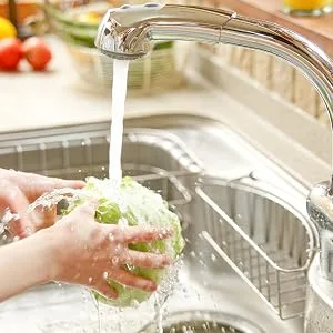 Green Gobbler BIO-Flow Drain Strips - 24 Strips | Drain Cleaner & Deodorizer - kitchen sink drain clog clogged safe deodorizes odor eliminating sani stix bio flow maintenance