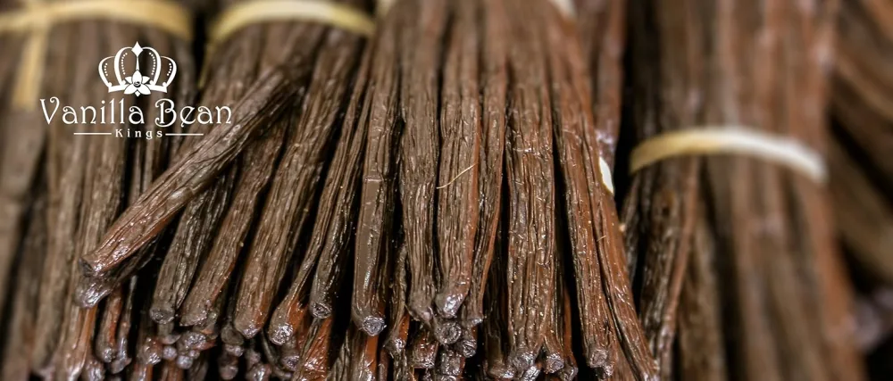 Gourmet Vanilla Bean Paste for Baking and Cooking - Gourmet Madagascar Bourbon Blend made with Real Vanilla Seeds - 32 Ounces 2 Pound (Pack of 1) - vanilla beans grade a b pods extract homemade paste gourmet madagascar native premium baking cooking