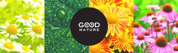 Good Nature Organic Nettle Tea, 1.058 Ounce - Good Nature Tea