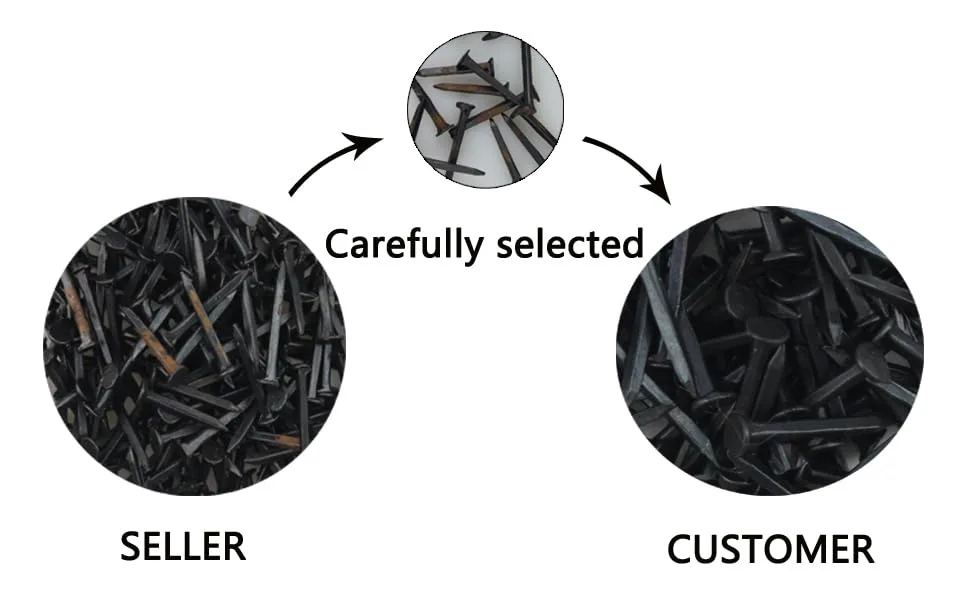 GOETOR Heel Plates 30 PCS Rubber Shoes Heel Taps Tips Repair Pad Replacement for Boots and Shoes with Nails (Black) - 100 pcs nails