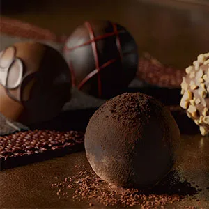 Godiva Chocolatier Assorted Truffles Gift Box, Dark Chocolate, 24 pc 24 Count (Pack of 1) - Truffles