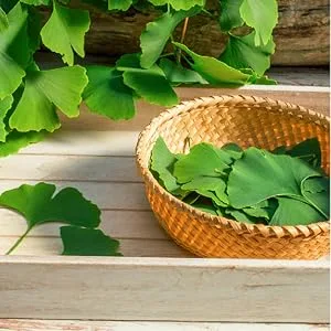 Ginkgo Biloba Capsules | 6000mg | 200 Count | Non-GMO, Gluten Free | by Carlyle - 6000mg