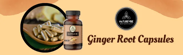 Ginger Capsules by Naturevibe Botanicals, 180 Veg Capsules | Supports Digestion and Boosts Immunity | 600 mg Per Serving | 100% Organic Ginger Root Powder - Ginger Root Capsules
