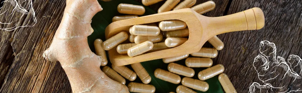 Ginger Capsules by Naturevibe Botanicals, 180 Veg Capsules | Supports Digestion and Boosts Immunity | 600 mg Per Serving | 100% Organic Ginger Root Powder - Ginger Root Capsules