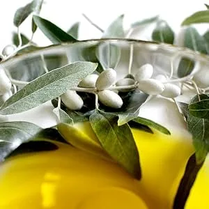 Garlic Gold USDA Certified Organic Extra Virgin Olive Oil Infused with Garlic, Low FODMAP,(8.44 fl oz) - butter replacement substitude butter