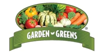 Garden Greens Wheat Grass Liquid with Real Ginger Extract, Nature's Perfect Superfood, 32 servings - wheatgrass juice powder wheat grass powdered organic amazing grass protein superfood organic kale