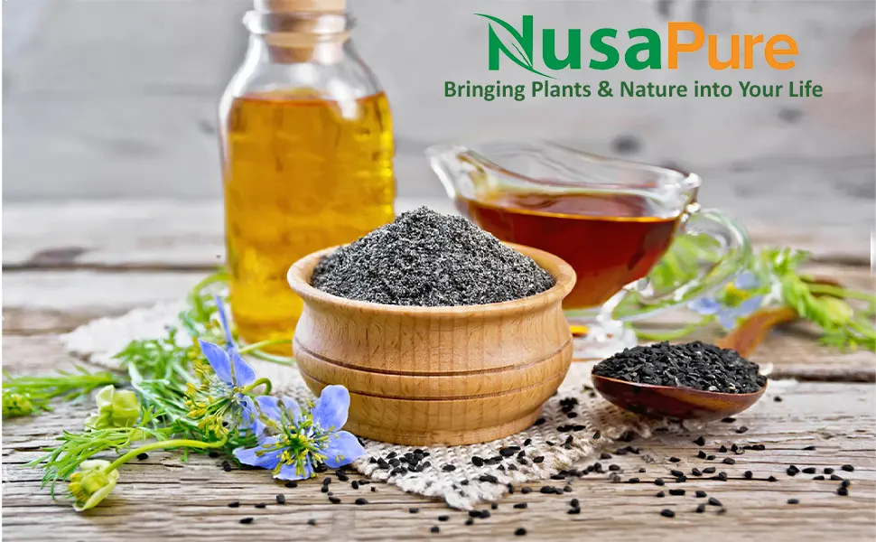 Full Spectrum Black Cumin Seed Extract 4500mg 180 Veggie Powder Caps (Extract Ratio 10:1, Non-GMO & Gluten Free) Non-Oily - product information 1
