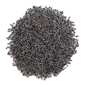 Frontier Co-op Organic Whole Poppy Seed 1lb - Organic Whole Poppy Seed