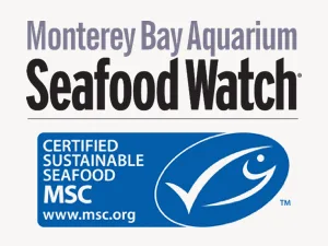 Fresh Sea Scallops - MBA and MSC