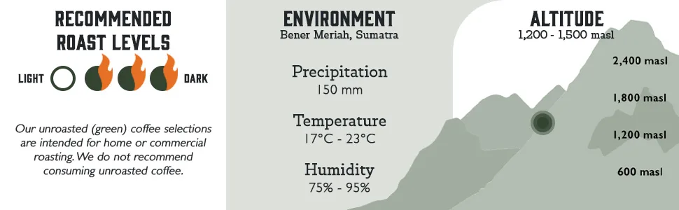Fresh Roasted Coffee, Unroasted Sumatra Mandheling, Kosher, 5 Pound - Unroasted Sumatra Mandheling profile