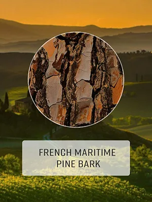 NusaPure French Maritime Pine Bark Extract 400mg per Veggie Caps 200-Day Supply with Bioperine (Non-GMO & Gluten Free) - product information 2