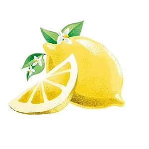 Fonti Di Crodo Limonata, Italian Sparkling Lemonade, 11.2 Oz. Cans (Pack of 24) - Lemon