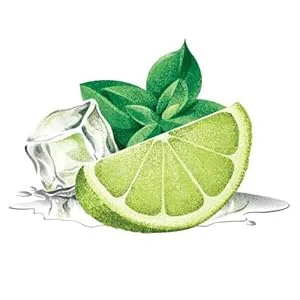 Fonti Di Crodo Limonata, Italian Sparkling Lemonade, 11.2 Oz. Cans (Pack of 24) - Mojito