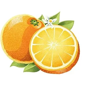 Fonti Di Crodo Limonata, Italian Sparkling Lemonade, 11.2 Oz. Cans (Pack of 24) - Orange